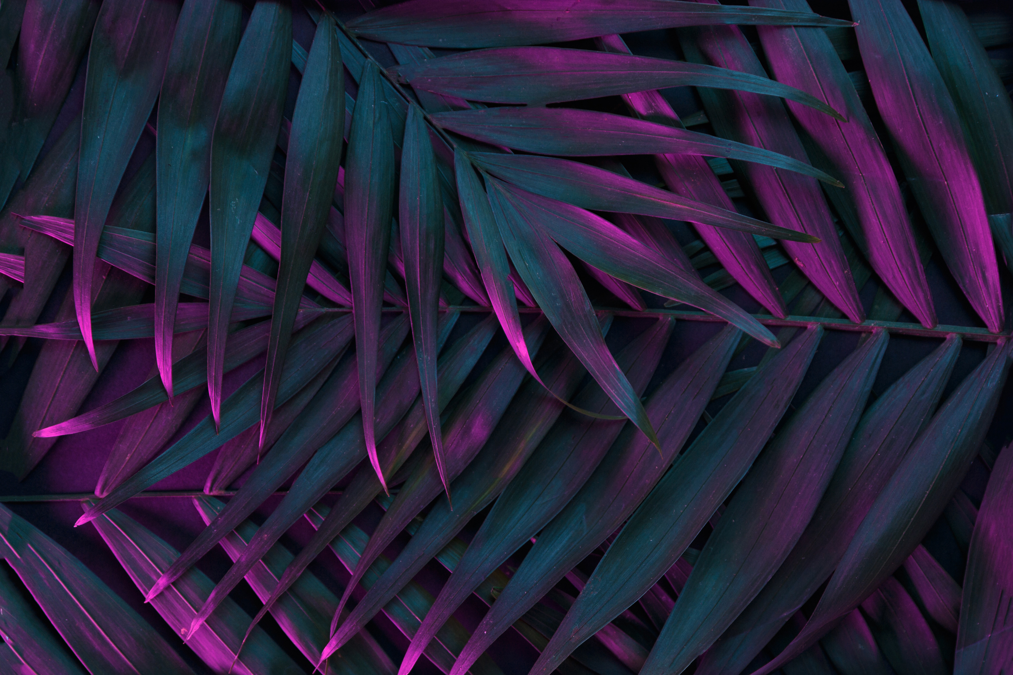 Tropical and palm leaves in vibrant bold gradient holographic neon colors